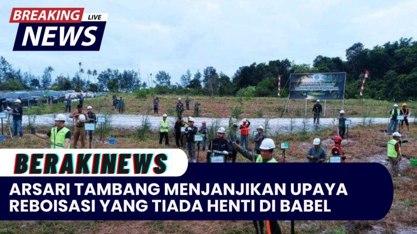 Arsari Tambang Menjanjikan Upaya Reboisasi Yang Tiada Henti Di Babel