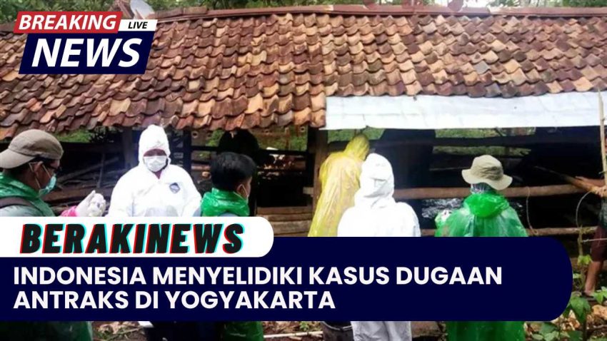 Indonesia Menyelidiki Kasus Dugaan Antraks di Yogyakarta